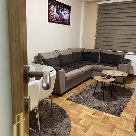 Mirkovic Lux Apartman Ni Dış mekan fotoğraf