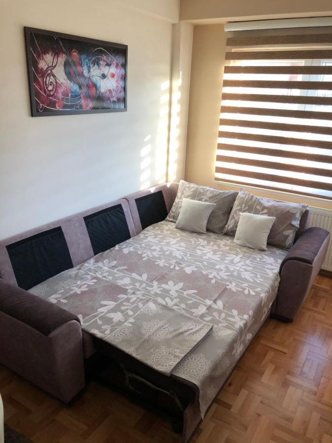 Mirkovic Lux Apartman Ni Dış mekan fotoğraf